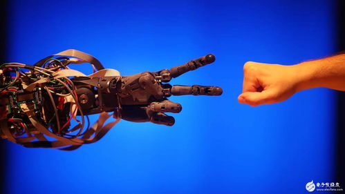 硅谷AI創新 在資本主義框架下的人工智能應用軟件開發